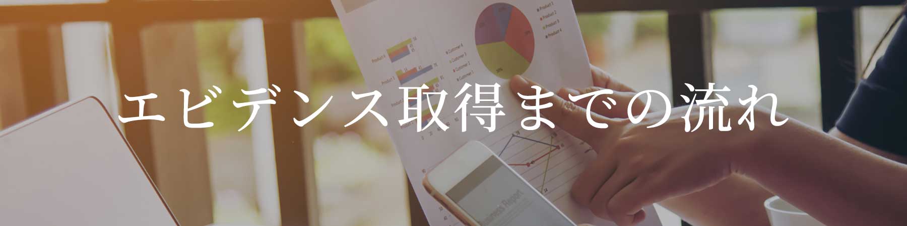 エビデンス試験の流れ